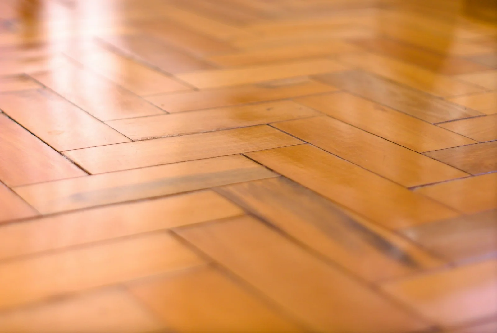 Shiny wooden floor with a classic herringbone pattern Shiny wooden floor with a classic herringbone pattern
