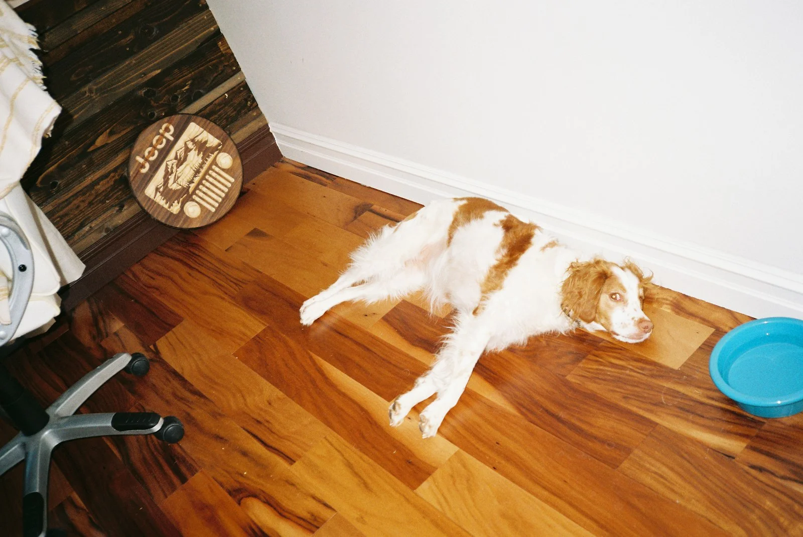 Benefits of Hardwood Flooring in Edinburgh Homes: 2026 Expert Guide benefits of hardwood flooring in edinburgh homes 2026 expert