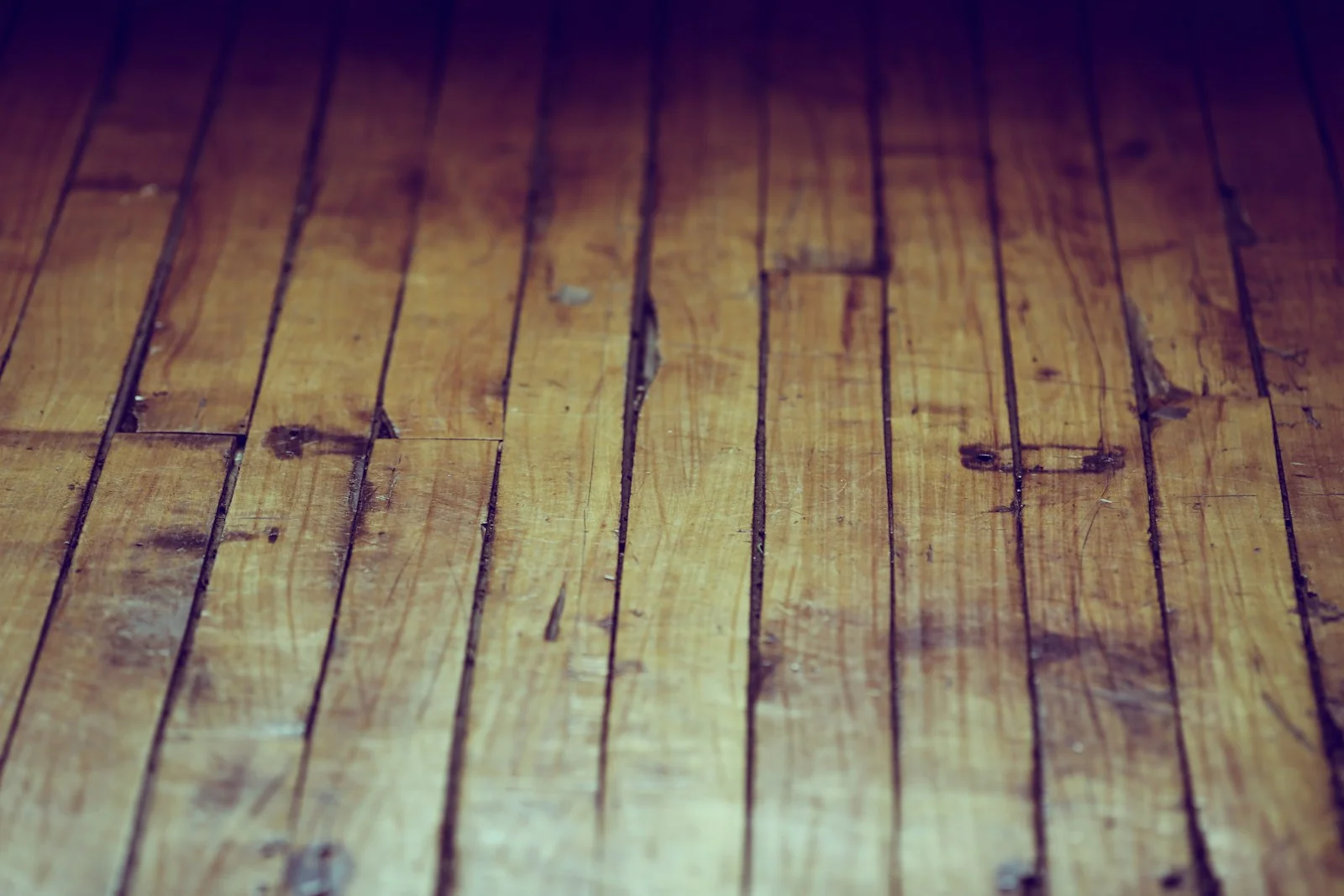 How Weather Affects Hardwood Flooring in Edinburgh: Local Guide 2026 how weather affects hardwood flooring in edinburgh local gui